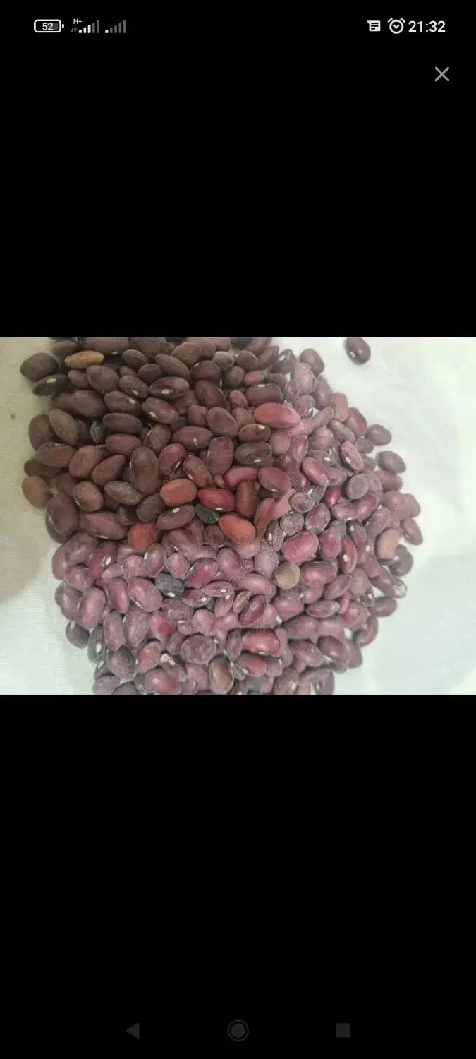 لوبیاقرمز کیلو 220000|عمده‌فروشی|سیدان, |دیوار