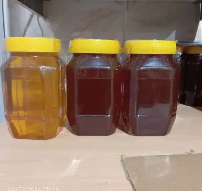 عسل|خوردنی و آشامیدنی|مهران (ایلام), |دیوار