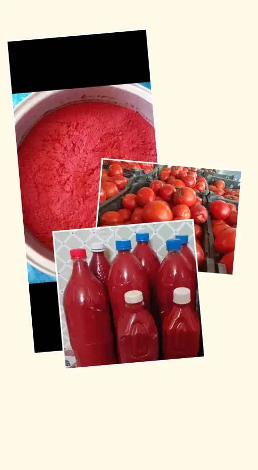 رب گوجه خانگی درجه ۱ خوش طعم و بسیار تمیز|خوردنی و آشامیدنی|مرودشت, شهرک مهدیه|دیوار