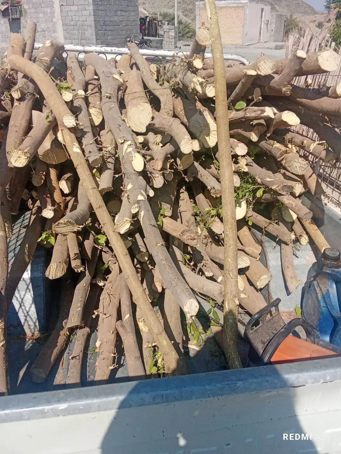 خرید و برش مرکبات|خدمات باغبانی و درختکاری|منوجان, |دیوار