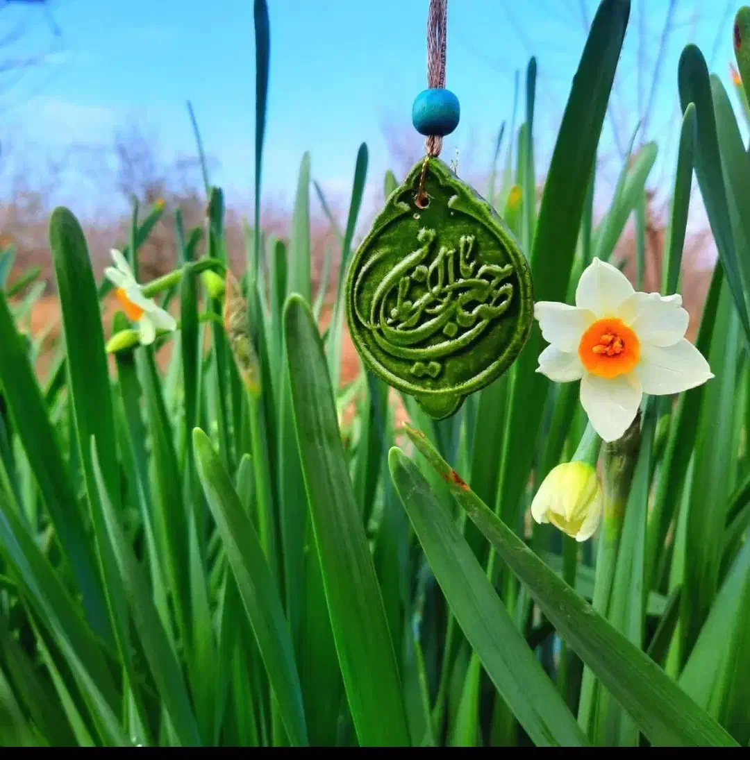 کربلا ( زمینی6/900) هوایی طرح مهدوی با حداقل قیمت|تور و چارتر|مشهد, حرم مطهر رضوی|دیوار