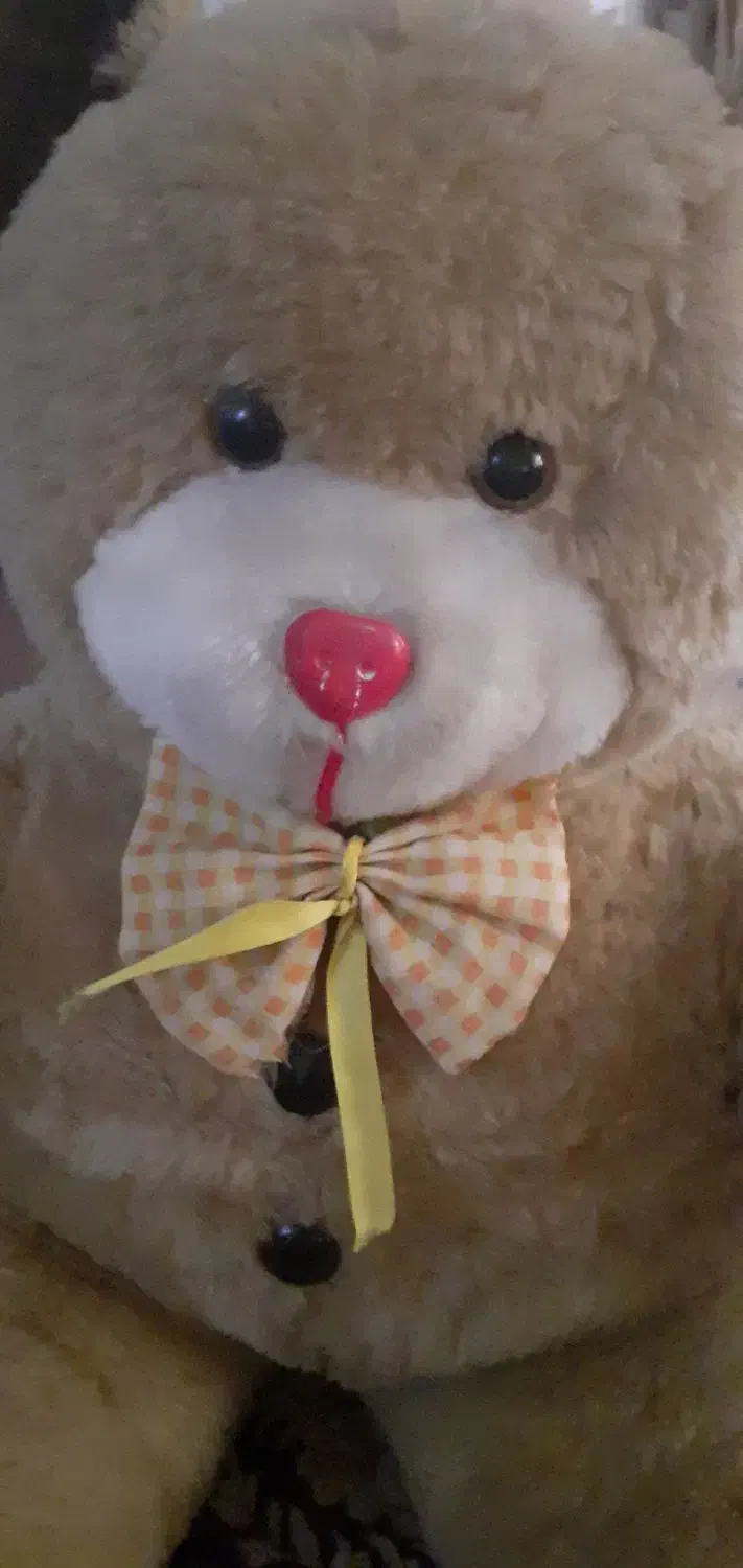 خرس|اسباببازی بچه|باقرشهر, |دیوار