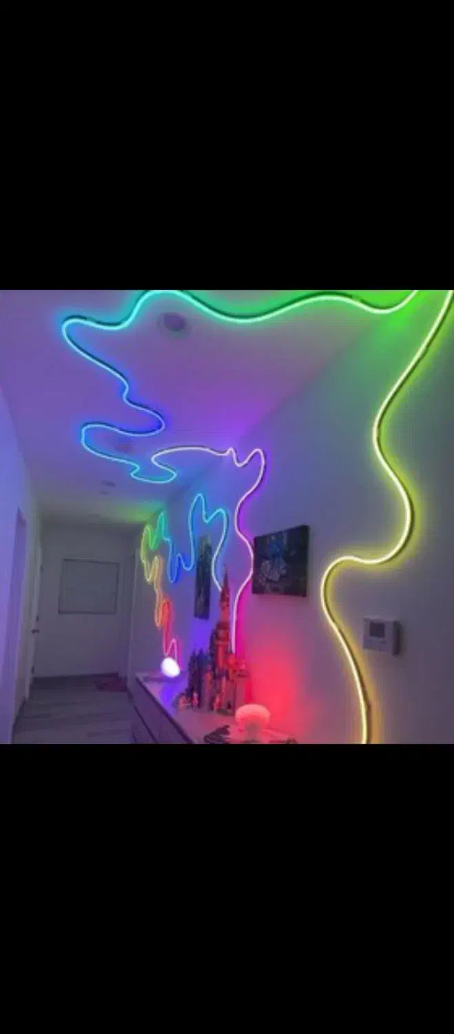 نئون فلکسی کنترل دار|لامپ و چراغ|سقز, |دیوار