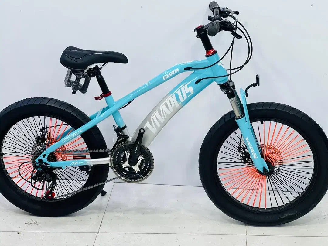 دوچرخه (اورجینال ) viva plus|دوچرخه، اسکیت، اسکوتر|تربتحیدریه, اندیشه|دیوار