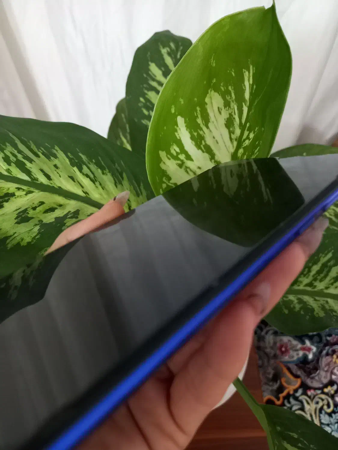 گوشی شیائومی ردمی نوت8پرو در حد نو|موبایل|فومن, |دیوار