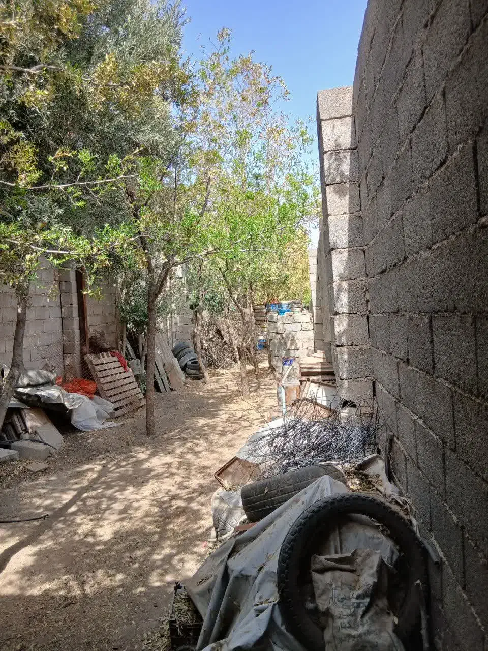 سوله اجاره ای|اجارهٔ دفتر صنعتی، کشاورزی، تجاری|بیرجند, |دیوار