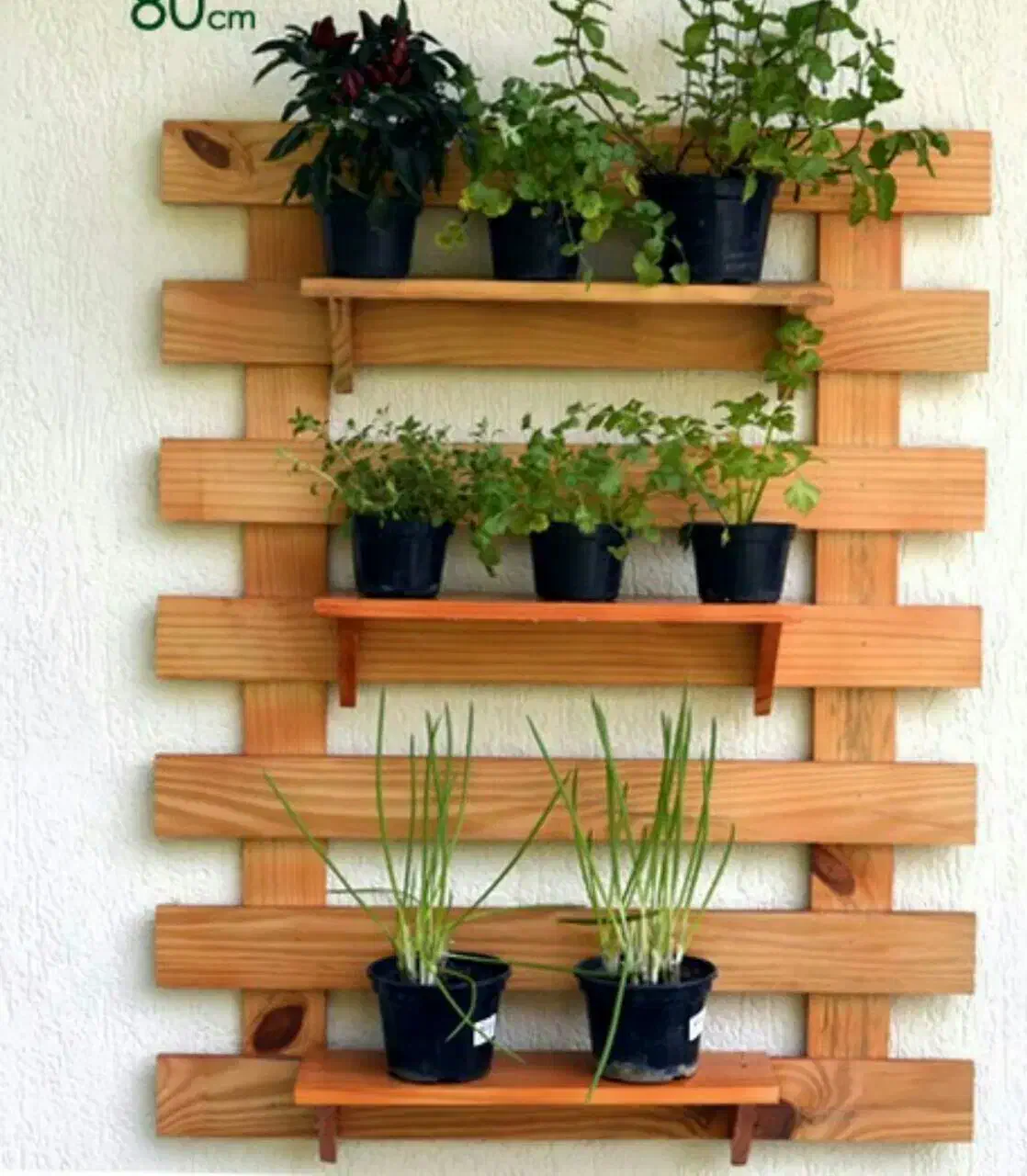 استندهای چوبی آپارتمانی|کتابخانه، شلف، قفسههای دیواری|رشت, کوی مهر|دیوار