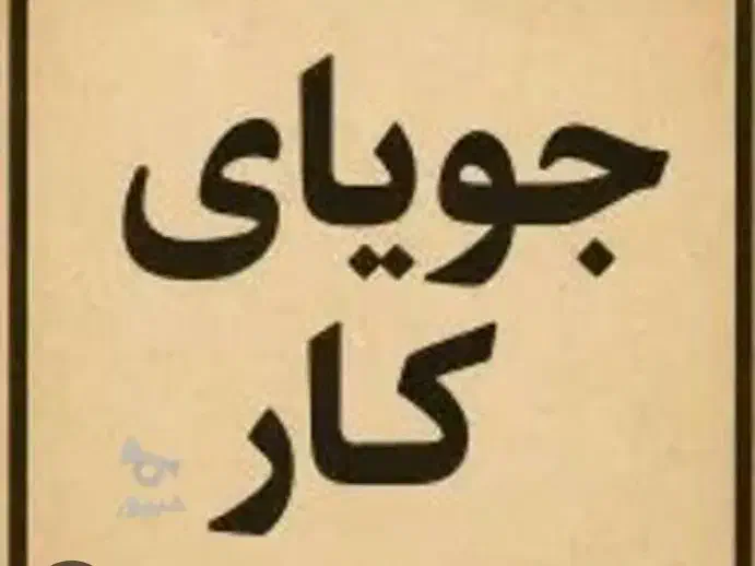 دنبال کارم|فعالیت داوطلبانه|خاش, |دیوار