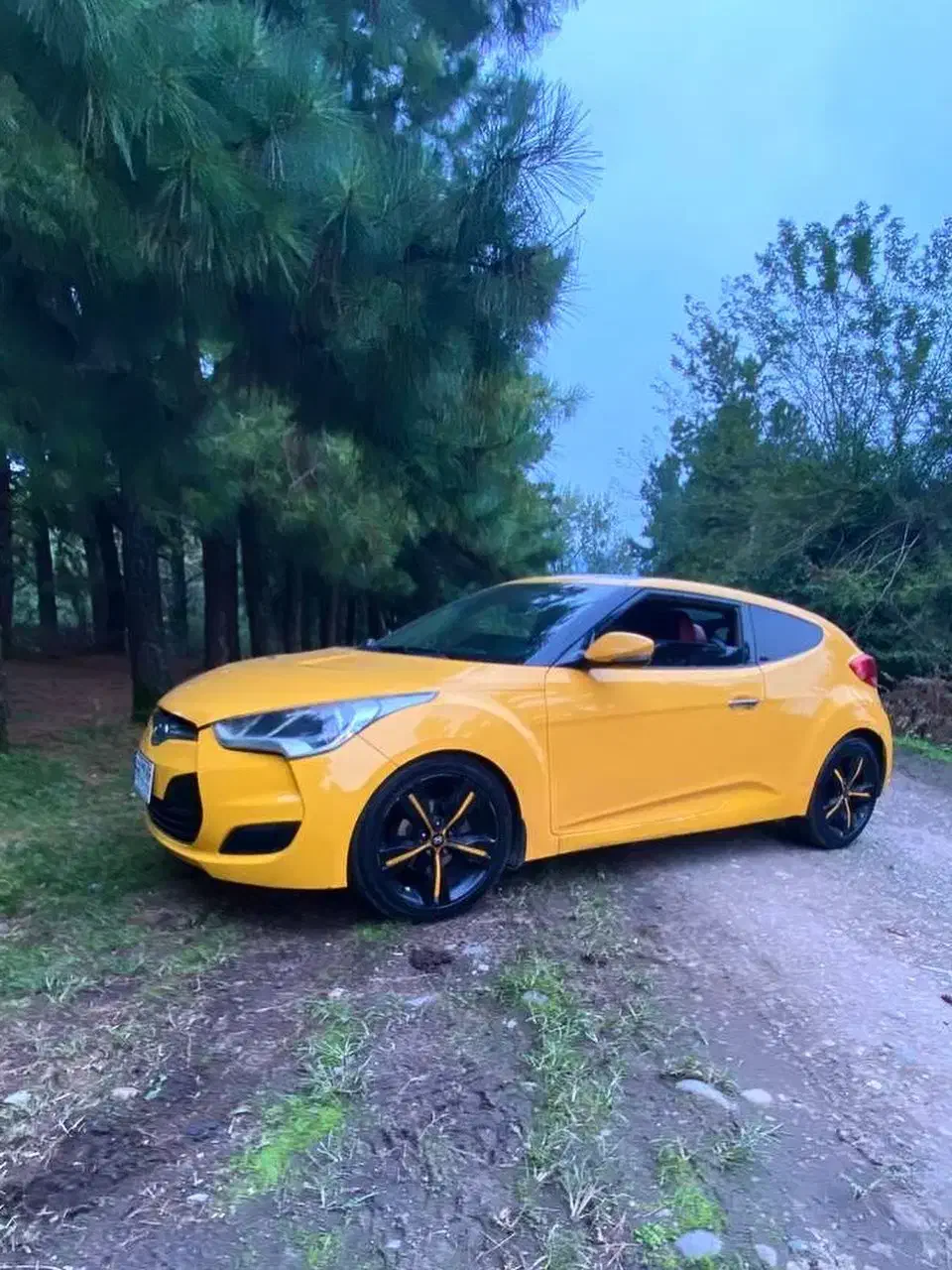 ماشین عروس خوشگل|خودرو اجارهای|رشت, باهنر|دیوار