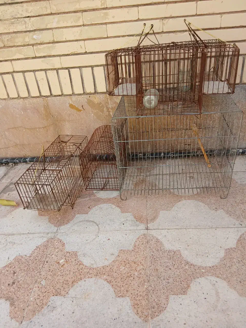 قفس پرنده|لوازم جانبی حیوانات|شیراز, تندگویان|دیوار