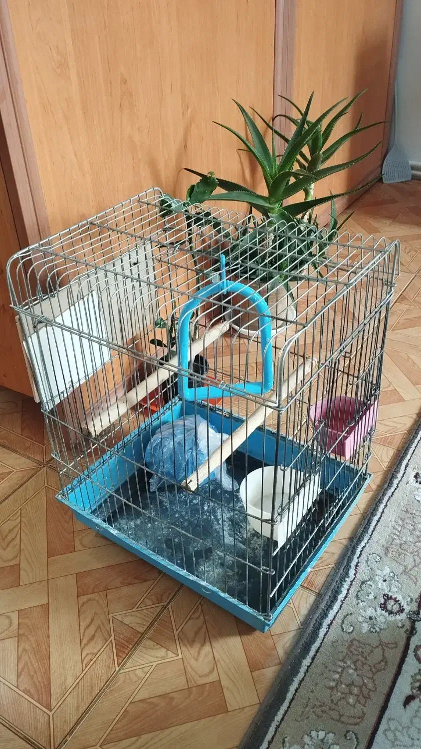 قفس پرنده|لوازم جانبی حیوانات|صحنه, |دیوار