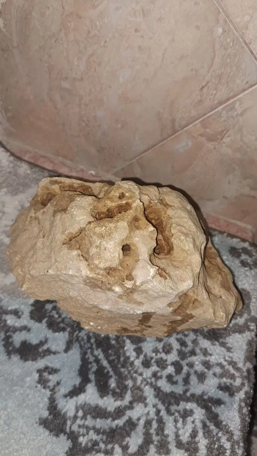 سنگ آکواریوم|ماهی|دماوند, دماوند|دیوار