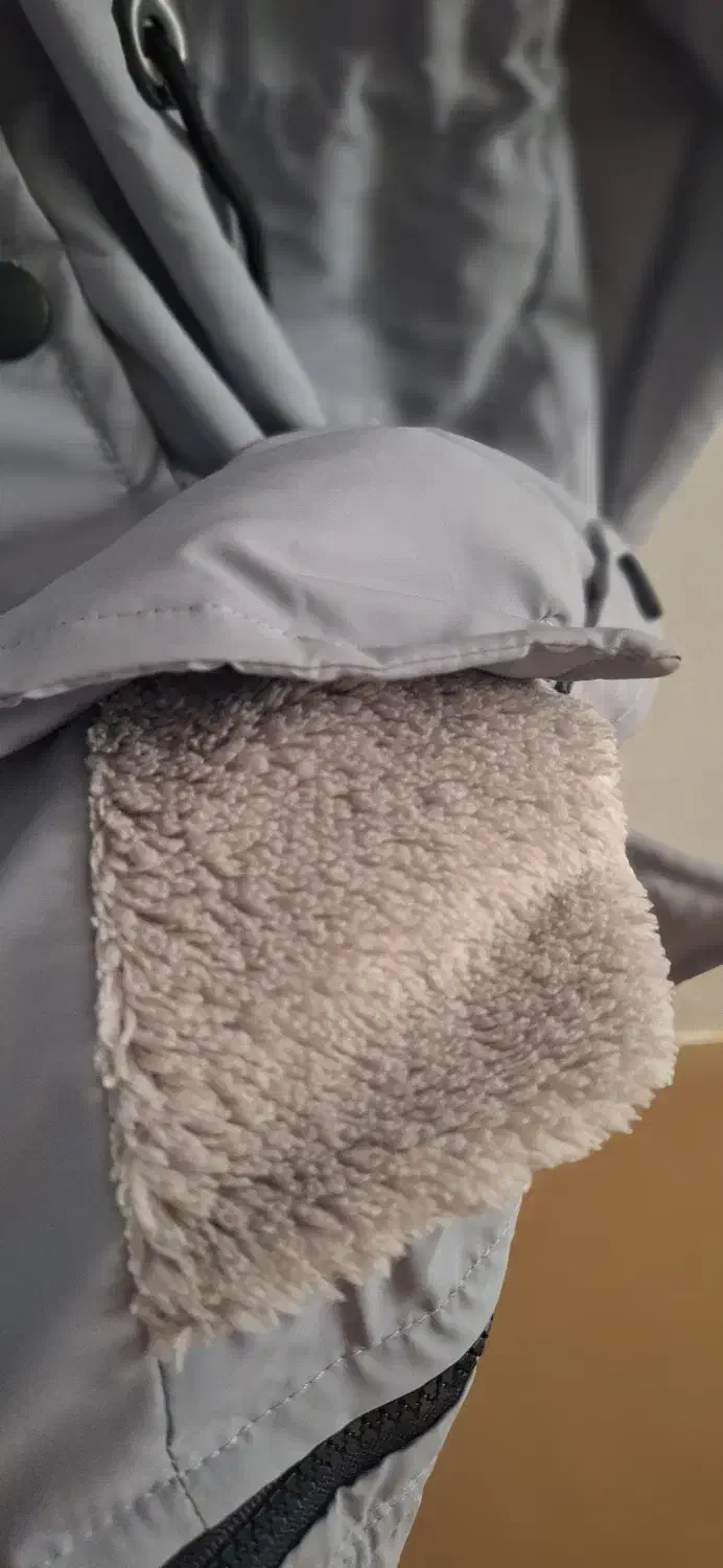 کاپشن|لباس|شهرضا, |دیوار