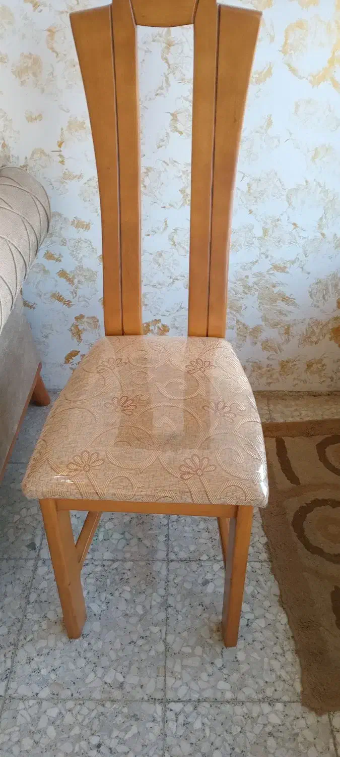 صندلی ناهار خوری|میز و صندلی غذاخوری|بندر انزلی, گلشن|دیوار