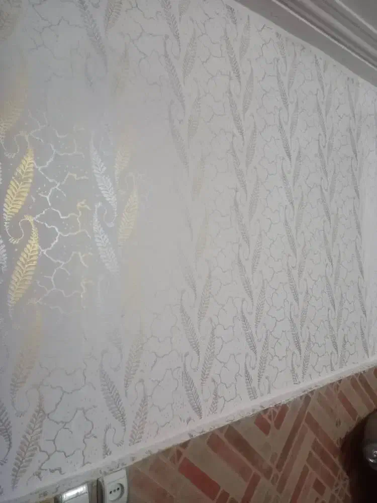 رنگ نقاشی طرح دار|خدمات پیشه و مهارت|لنگرود, |دیوار