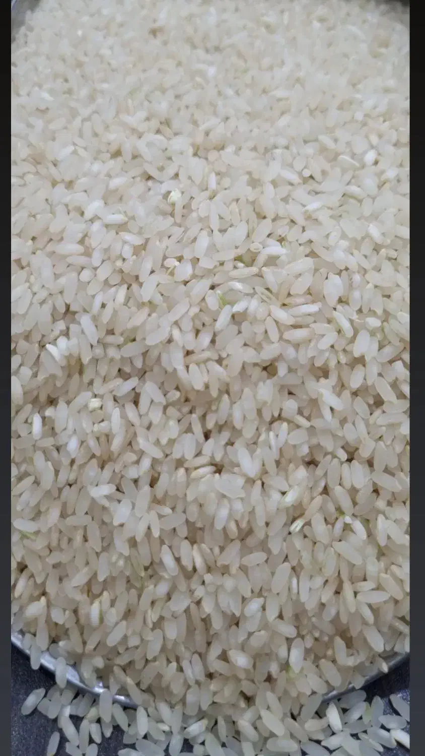 برنج چمپه|خوردنی و آشامیدنی|اصفهان, جاوان|دیوار