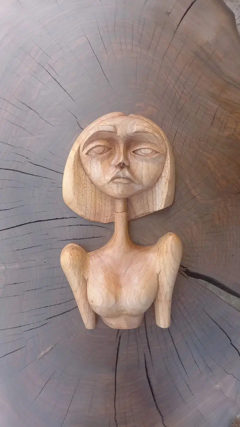 مجسمه چوبی دستساز|مجسمه، تندیس، ماکت|کیاشهر, |دیوار