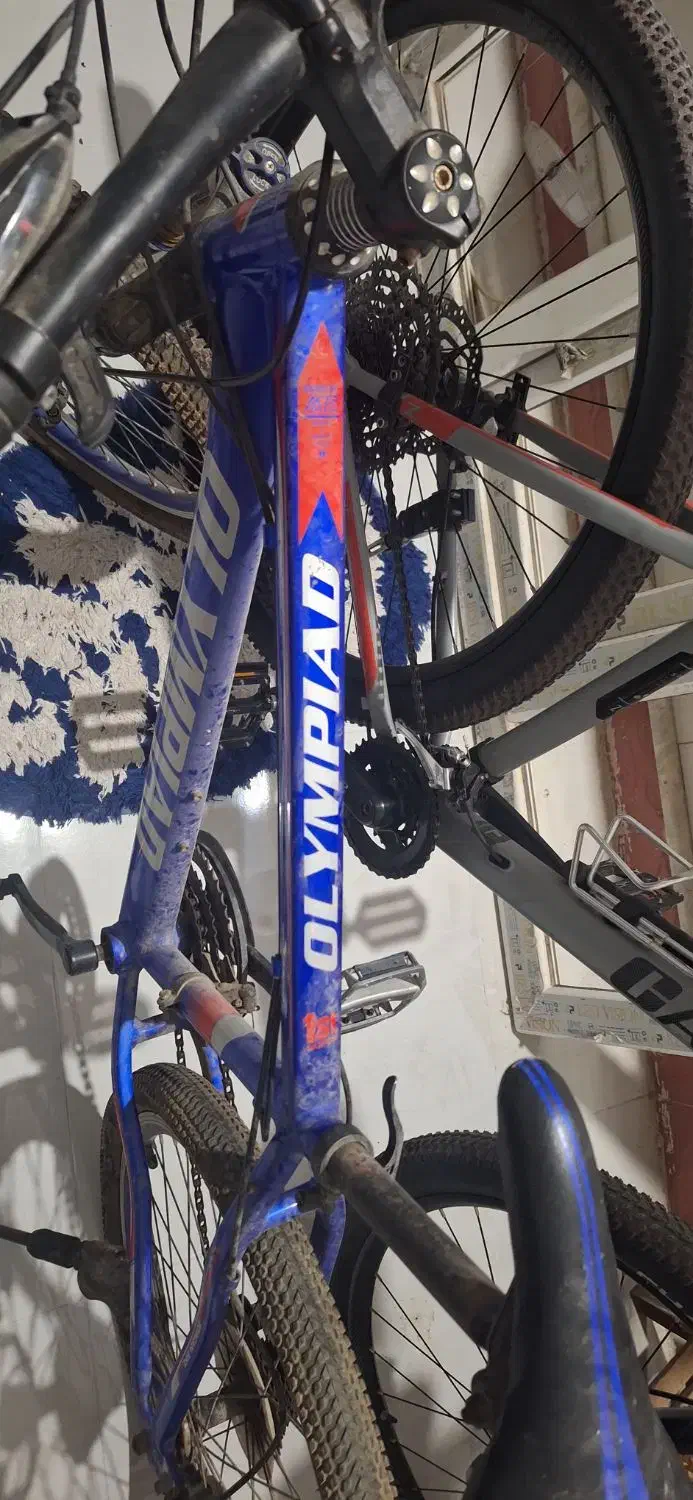 دوچرخه المپیا سایز ۲۴|دوچرخه، اسکیت، اسکوتر|میناب, |دیوار