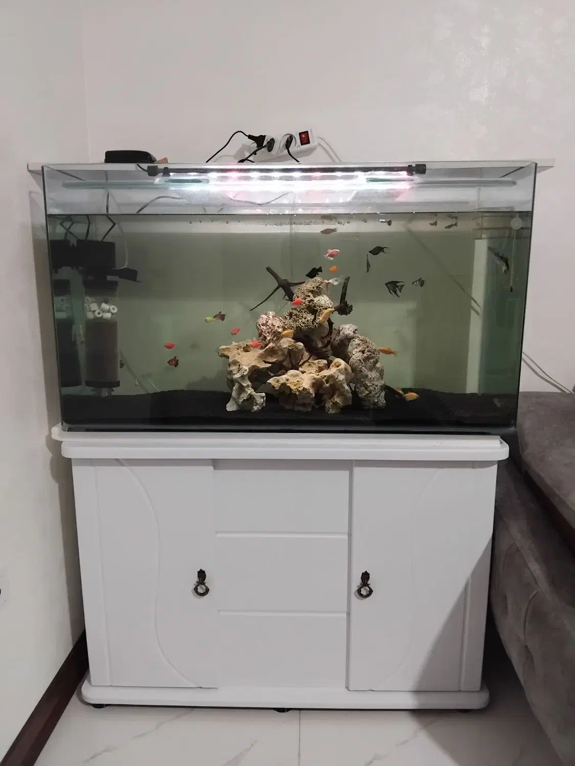 آکواریوم شیشه خم|ماهی|اسلامشهر, شهرک قائمیه|دیوار