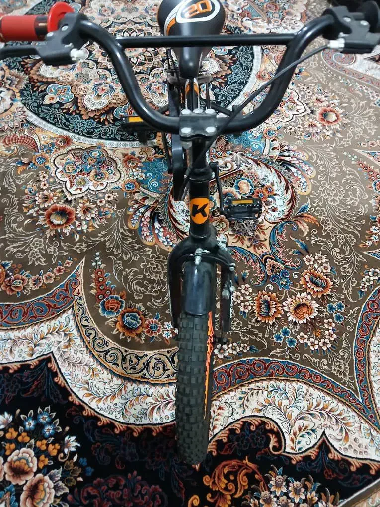 دوچرخه 20|دوچرخه، اسکیت، اسکوتر|دوگنبدان, |دیوار