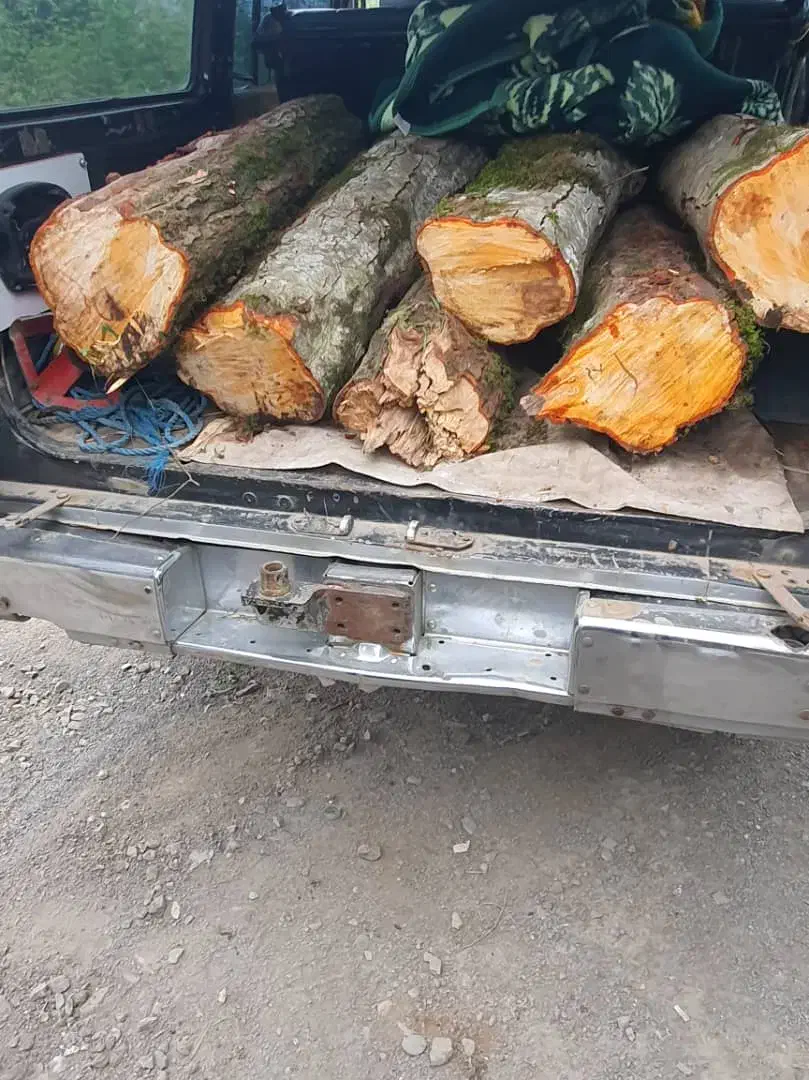 خریدار انواع چوبهای باغی یا هر چوب دیگری تر یا خشک|خدمات باغبانی و درختکاری|سلمان‌شهر, |دیوار