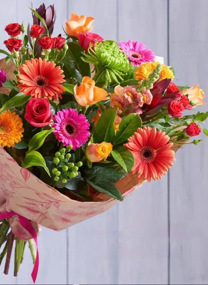 استخدام نیروی اداری|استخدام اداری و مدیریت|تهران, جمال‌زاده|دیوار