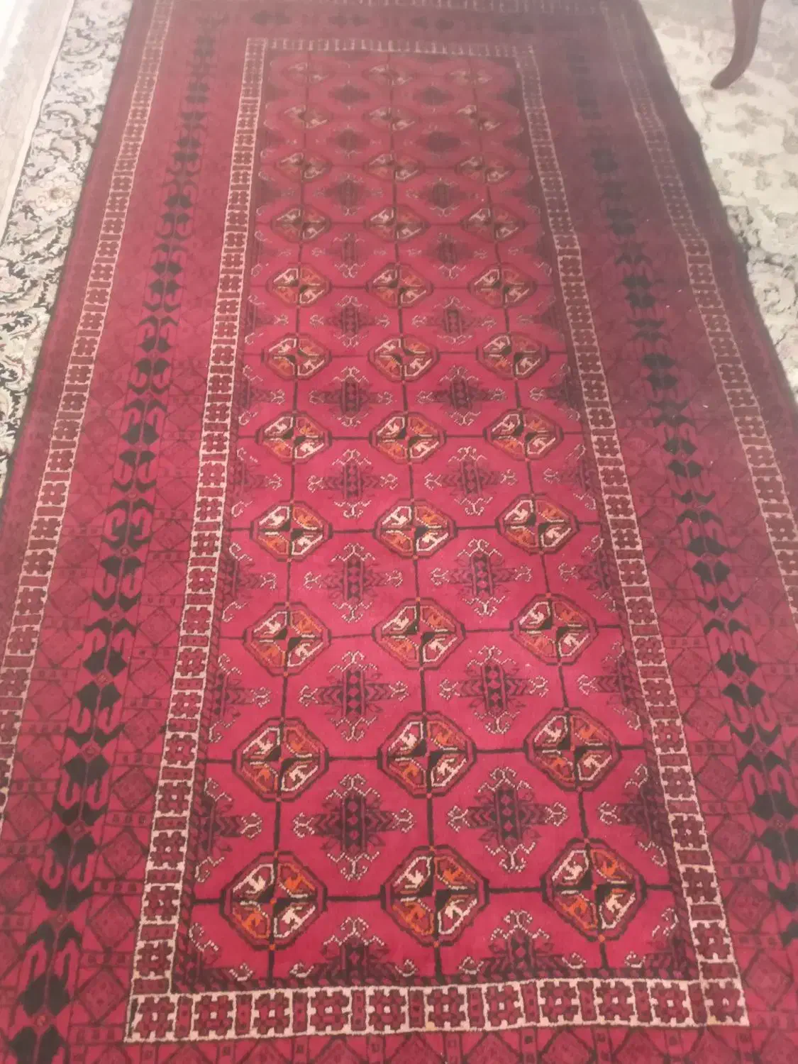 قالیچه دست باف|فرش|مشهد, هفت تیر (آب و برق)|دیوار