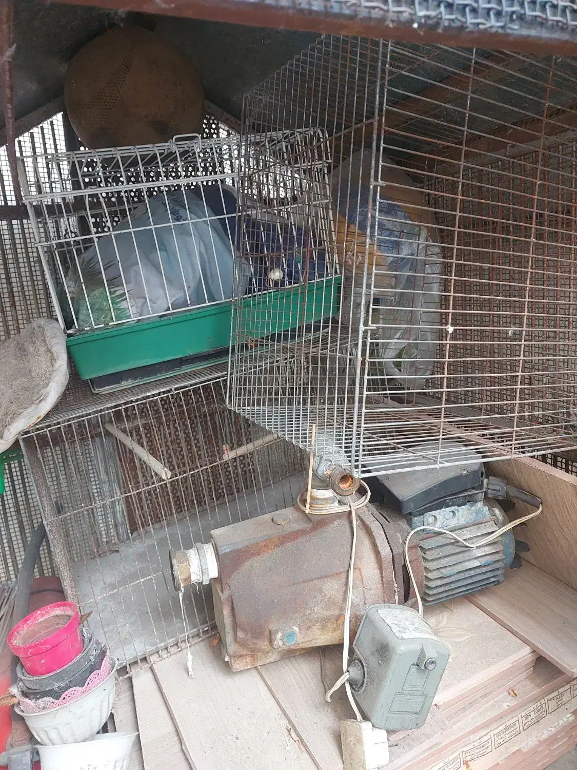 قفس پرنده|لوازم جانبی حیوانات|رشت, گلزاران|دیوار