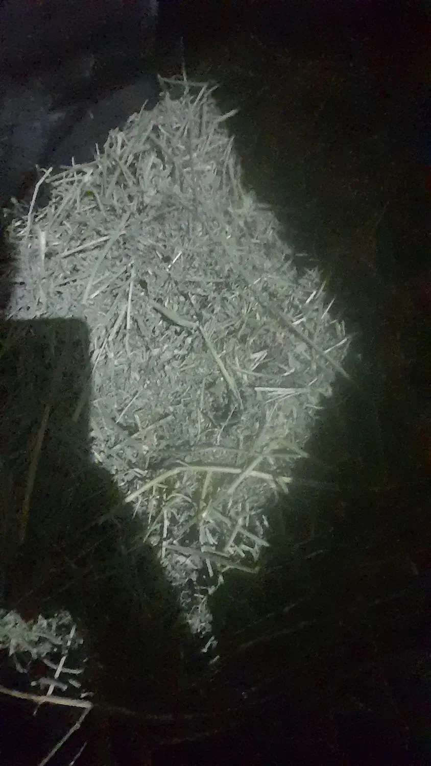 خرده شده|لوازم جانبی حیوانات|خرمآباد, |دیوار