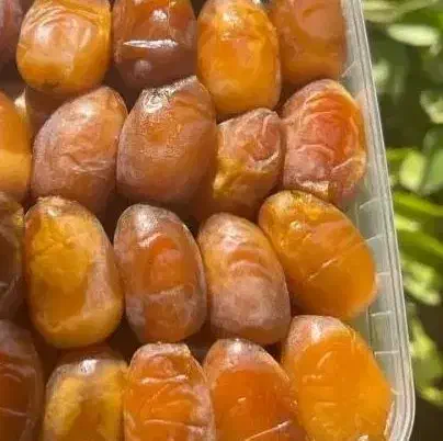 رطب و خرمای  کبکاب اعلا|خوردنی و آشامیدنی|شیراز, جوادیه|دیوار