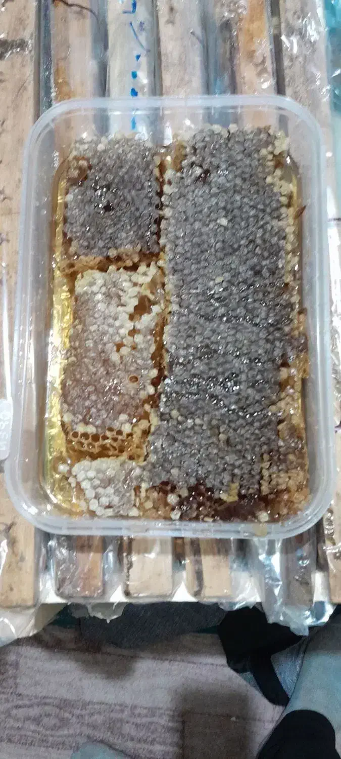 عسل طبیعی سبلان کوه. آذربایجان شرقی سراب|خوردنی و آشامیدنی|تهران, عباسی|دیوار