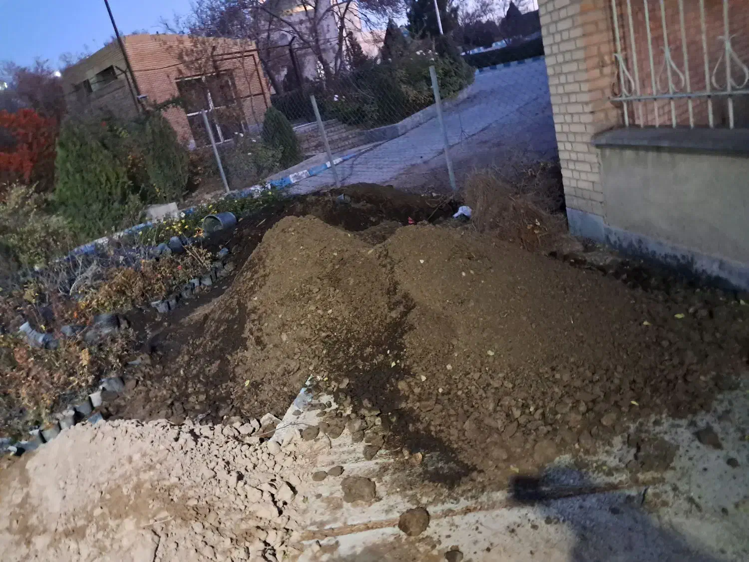 کود فرآوری  شده گاوی   و کود ورمی|گل و گیاه طبیعی|بجنورد, |دیوار