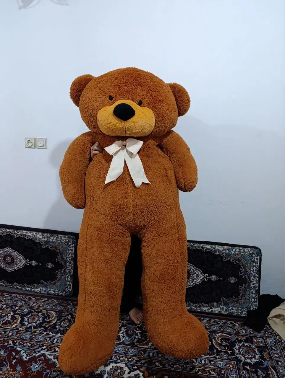 خرس تددی مخملی|اسباب‌‌بازی|نوشهر, |دیوار