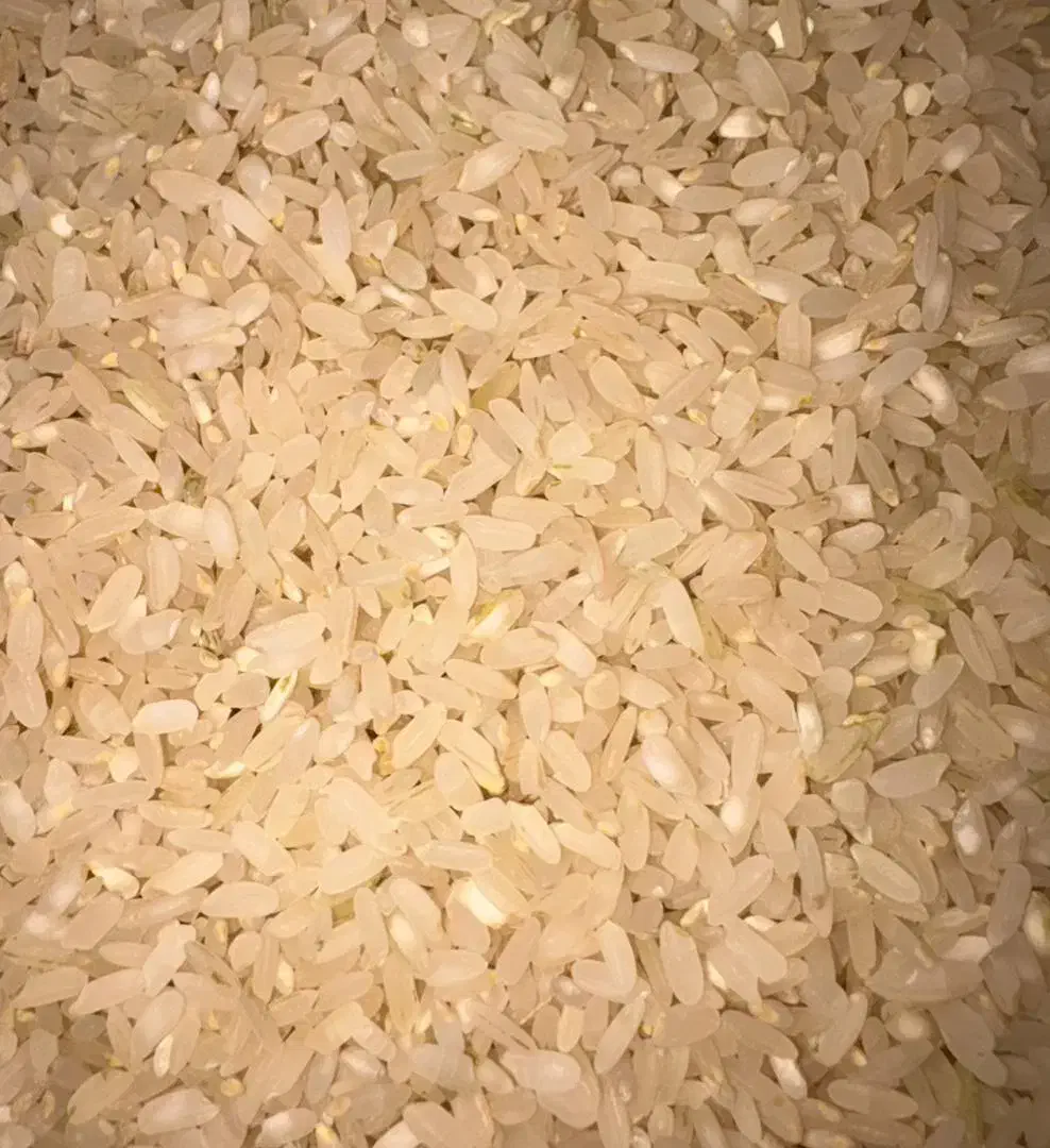 برنج کامفیروزی(اصل بکیان)|خوردنی و آشامیدنی|شیراز, حافظیه|دیوار