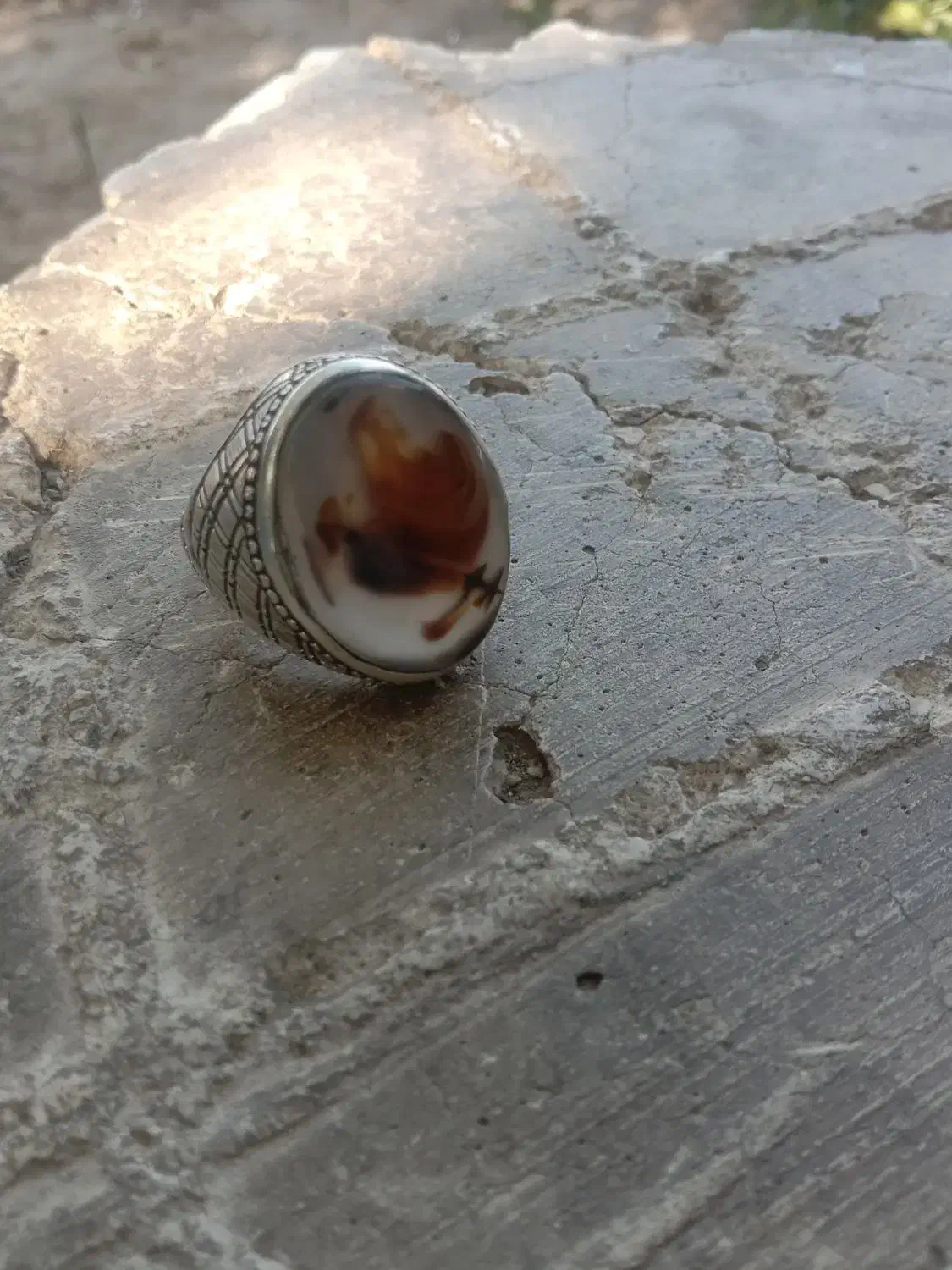 شجر|جواهرات|بیرجند, |دیوار