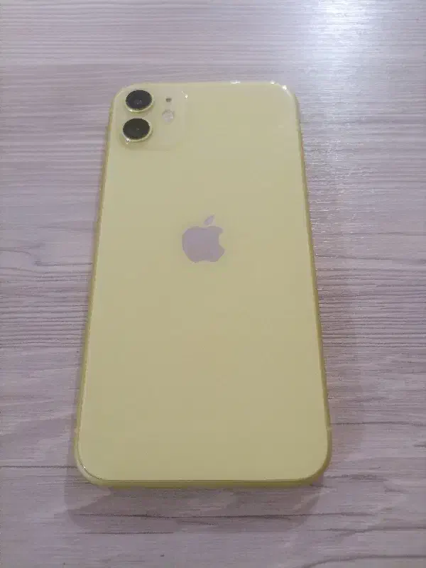 آیفون 11 رجیستر شده|موبایل|بانه, |دیوار