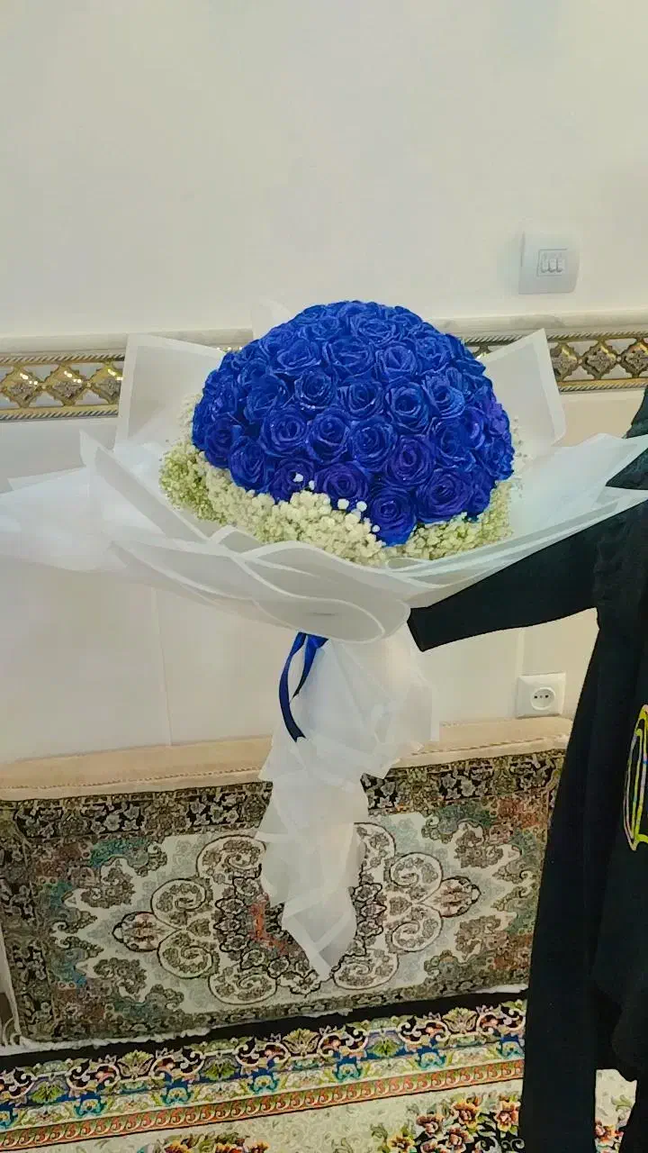 شب چله|گل مصنوعی|قم, نیروگاه|دیوار