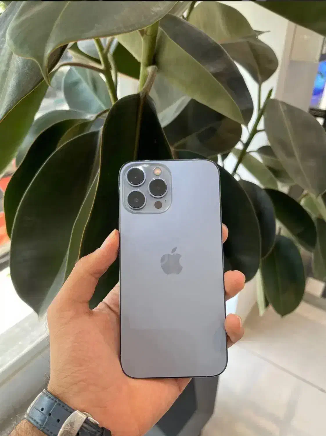 ایفون۱۳پرومکس256گیگ|موبایل|محمدشهر, ولدآباد|دیوار