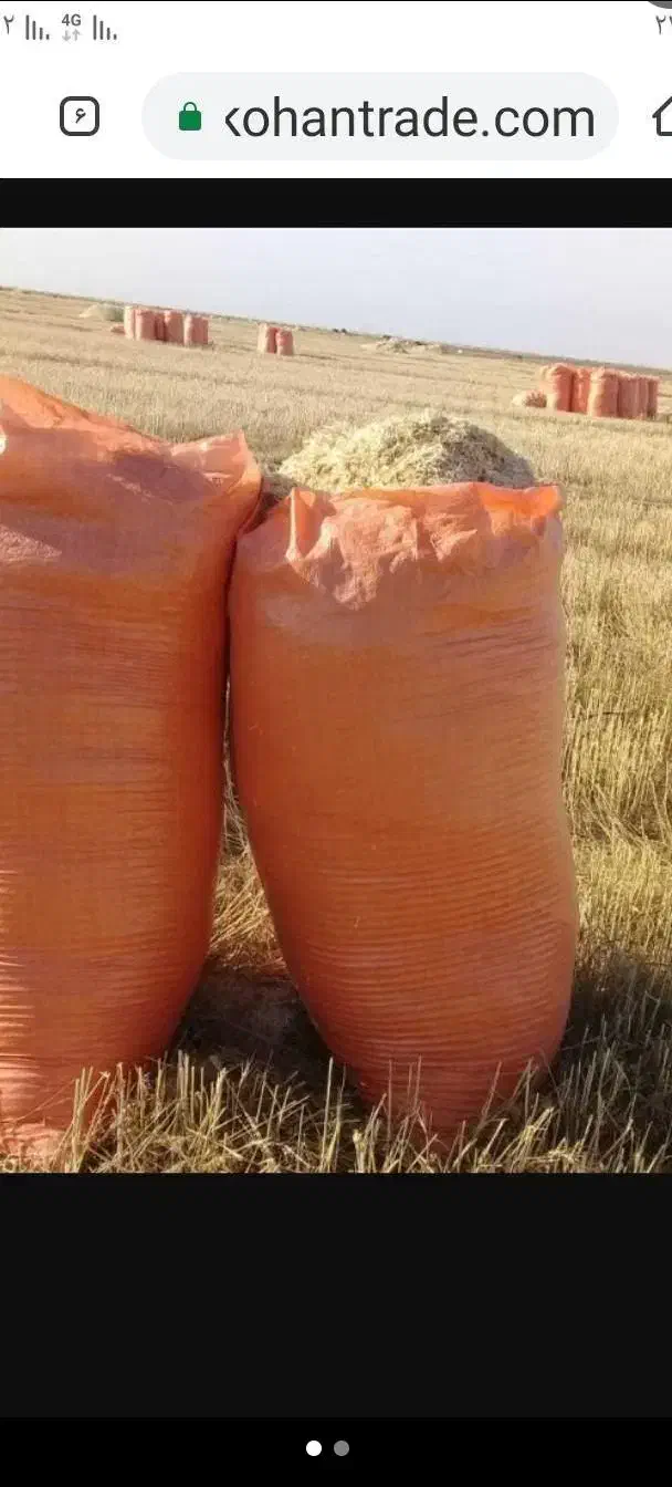 خریدار کاه هستم|خدمات باغبانی و درختکاری|ارومیه, |دیوار