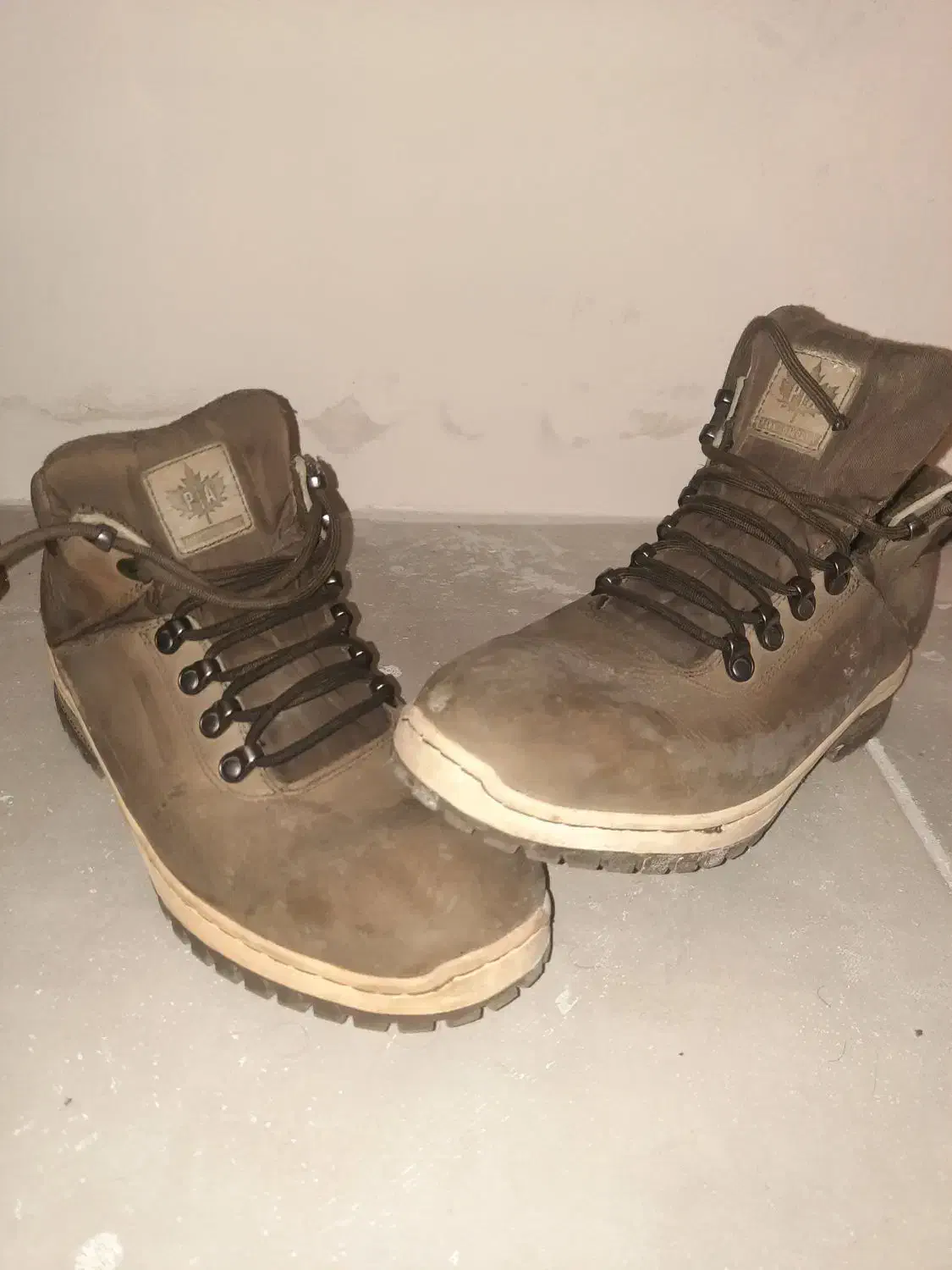 نیم پوت|کیف، کفش، کمربند|شیراز, ملاصدرا|دیوار