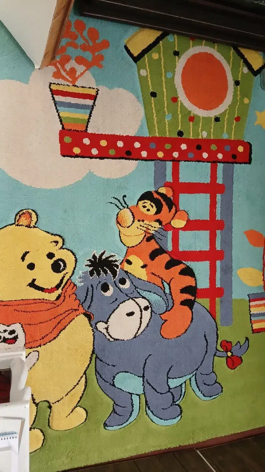 فرش فانتزی کودک|فرش|ابهر, |دیوار