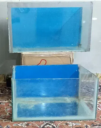 آکواریوم|حراج|یزد, |دیوار