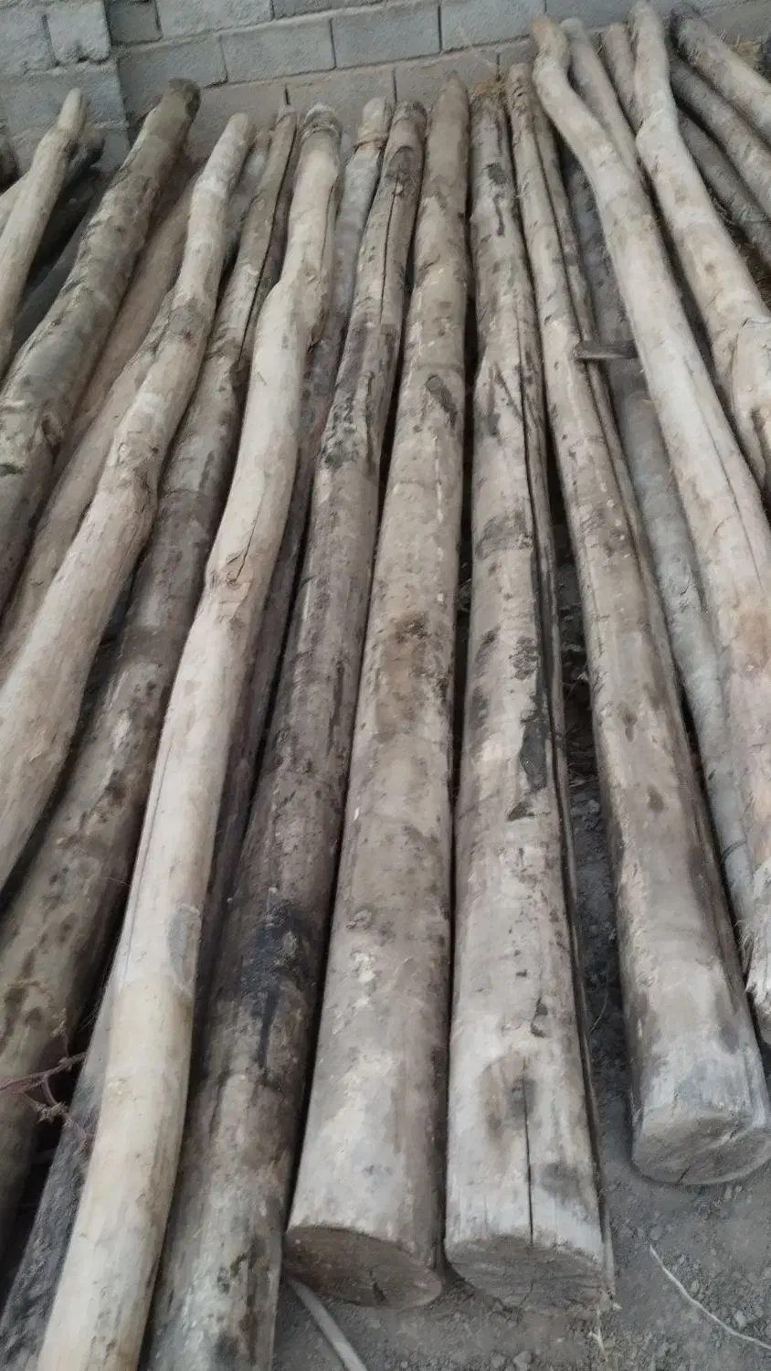 مساله ساختمان|مصالح و تجهیزات ساختمان|نمین, |دیوار