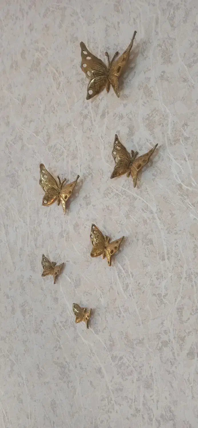 پروانه برنز ..|مجسمه، تندیس، ماکت|کرمانشاه, |دیوار