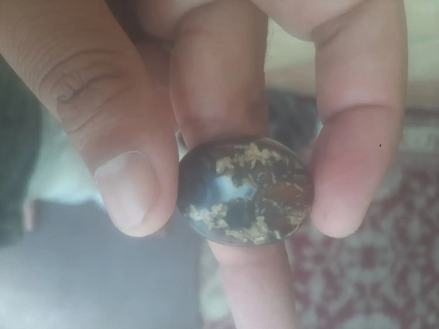 مهره کمیاب|کلکسیون اشیاء عتیقه|حمیدیه, |دیوار