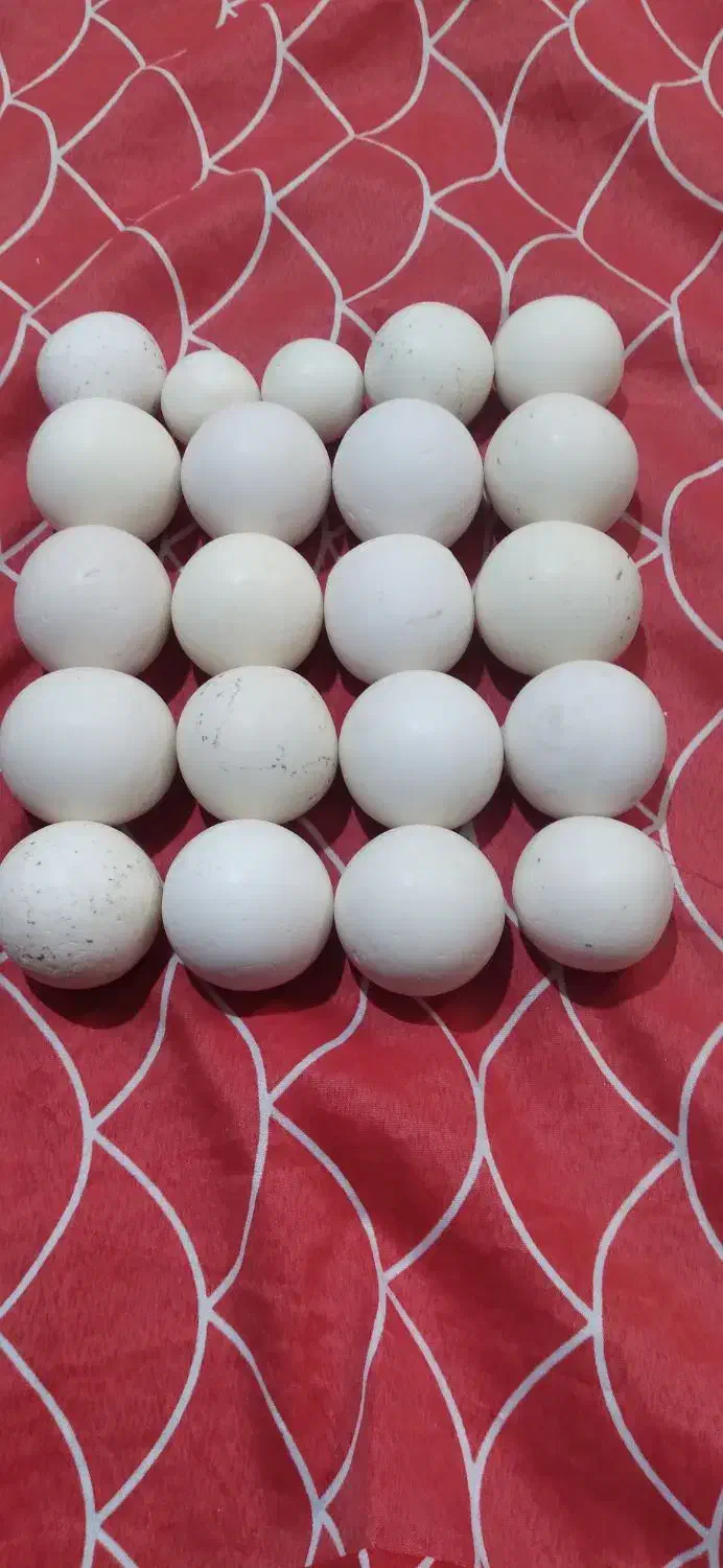 سنگ اسیاب|جواهرات|قوچان, |دیوار