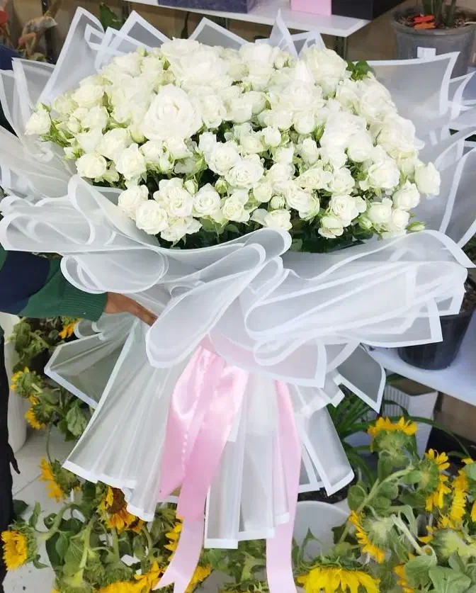 رز مینیاتوری ۷۹۰|گل و گیاه طبیعی|شیراز, خلدبرین|دیوار