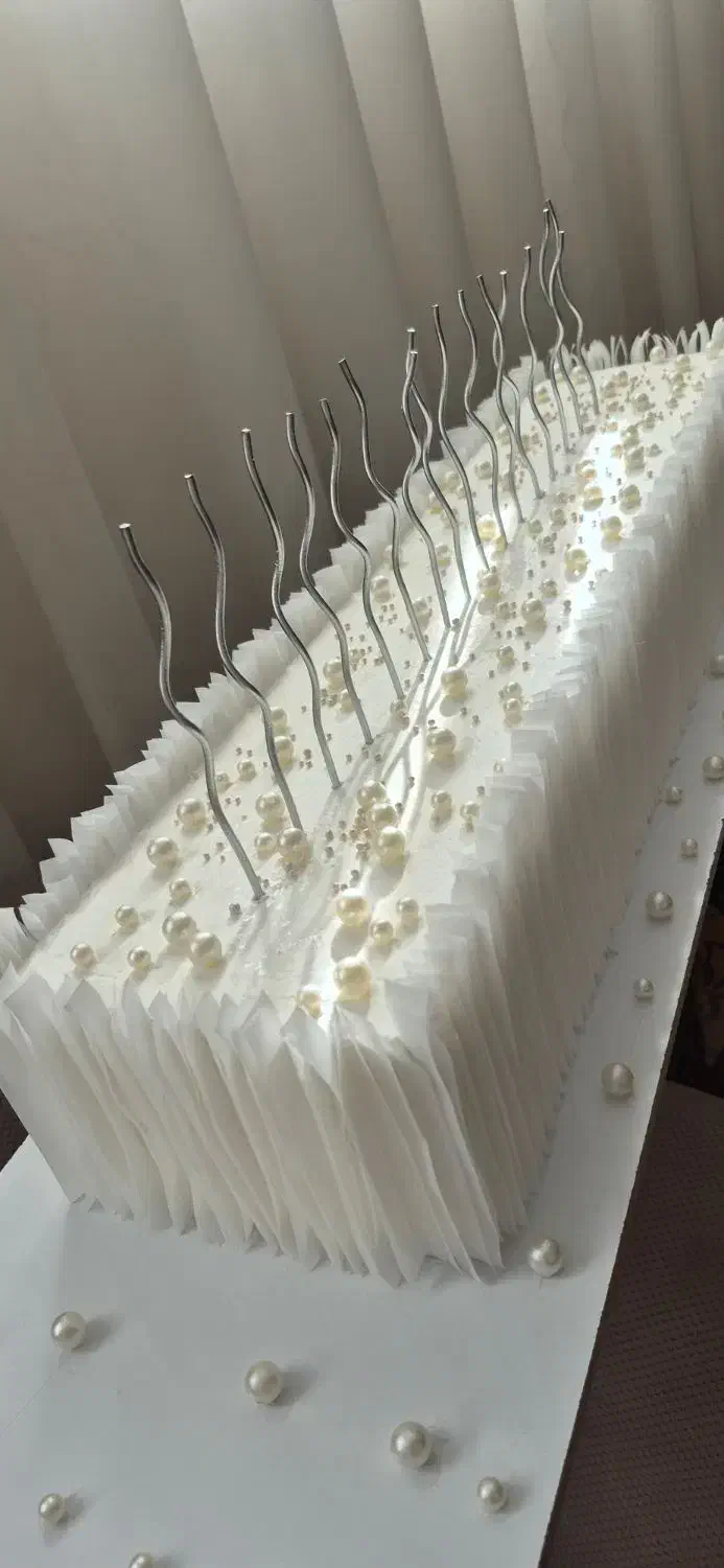 چالش فوت ماکت کیک|مجسمه، تندیس، ماکت|تبریز, |دیوار