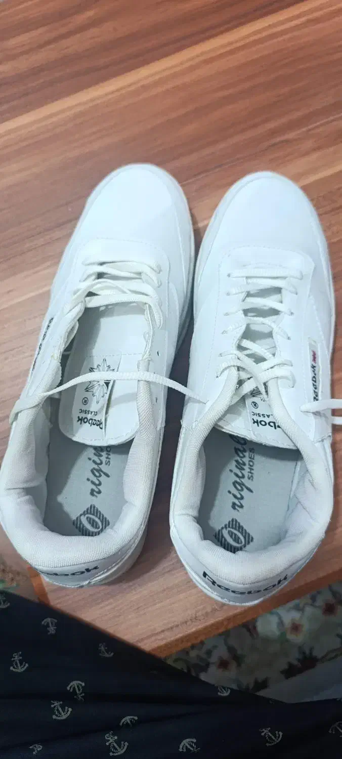 کتونی مردونه|کیف، کفش، کمربند|رشت, گلسار|دیوار