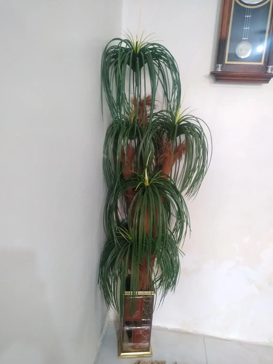 درختچه مصنوعی|گل مصنوعی|اهواز, کوی باهنر|دیوار